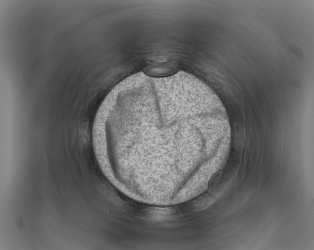 X0000111600085200908131413