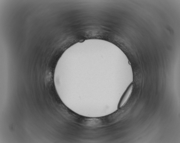 X0000111600087200908131413