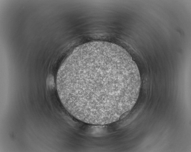 X0000111600089200908131413