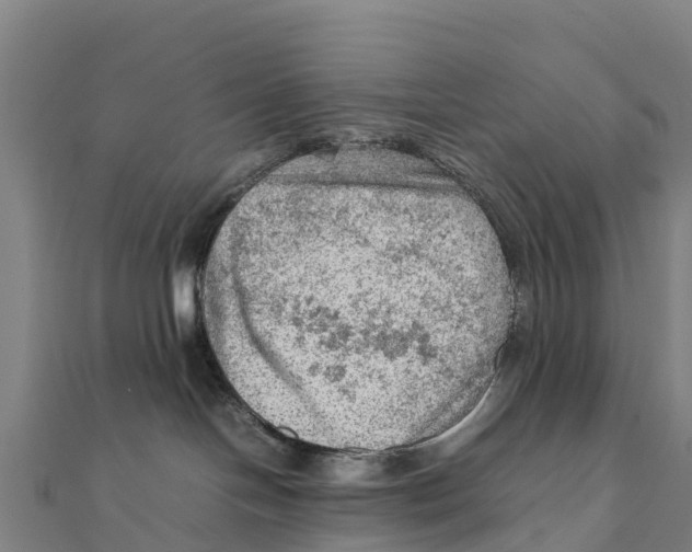 X0000111600094200908131413