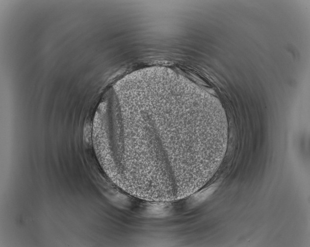 X0000111600096200908131413