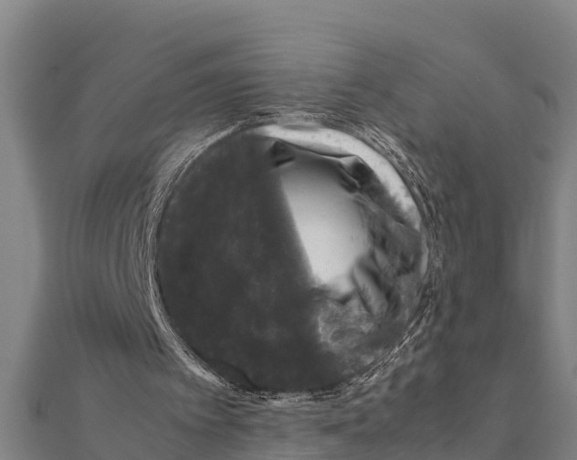 X0000111600097200908131412