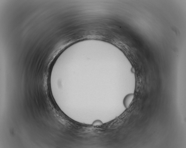 X0000111600098200908131412