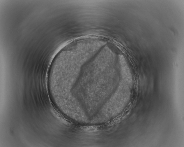 X0000111600100200908131412