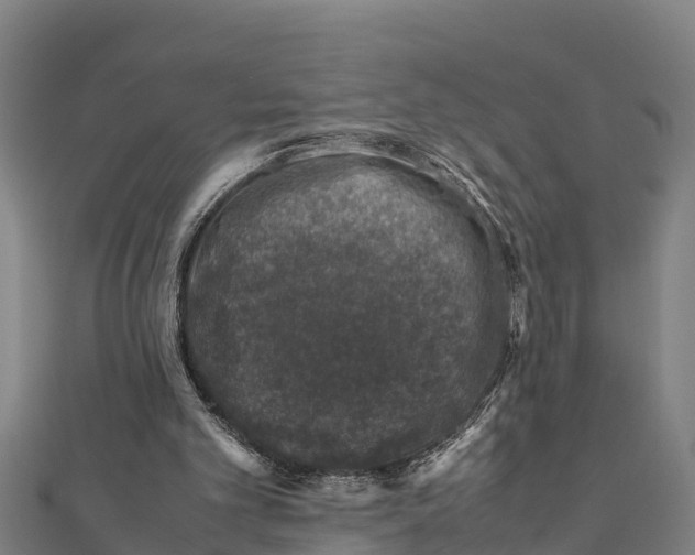 X0000111600101200908131412