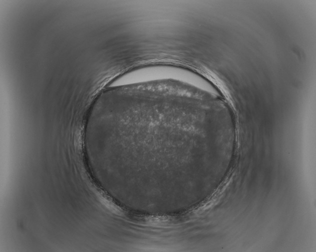 X0000111600105200908131412
