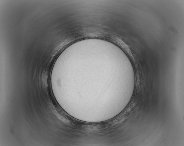 X0000111600106200908131412