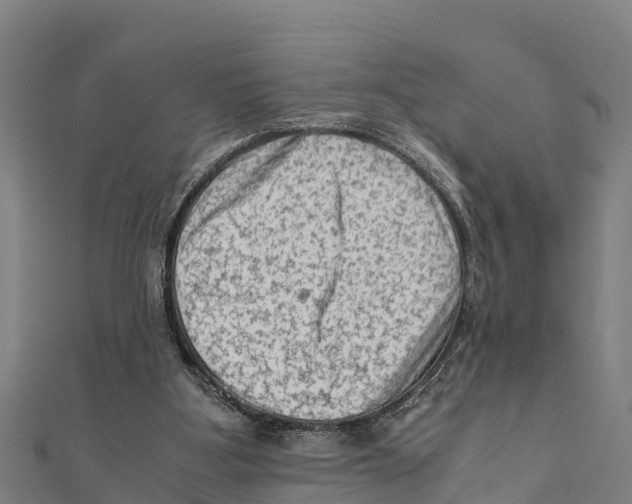 X0000111600107200908131412