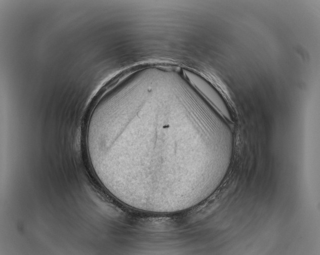 X0000111600108200908131412