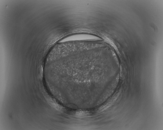 X0000111600109200908131412