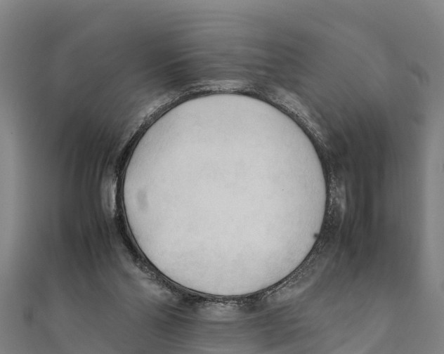 X0000111600110200908131412