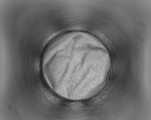 X0000111600112200908131412