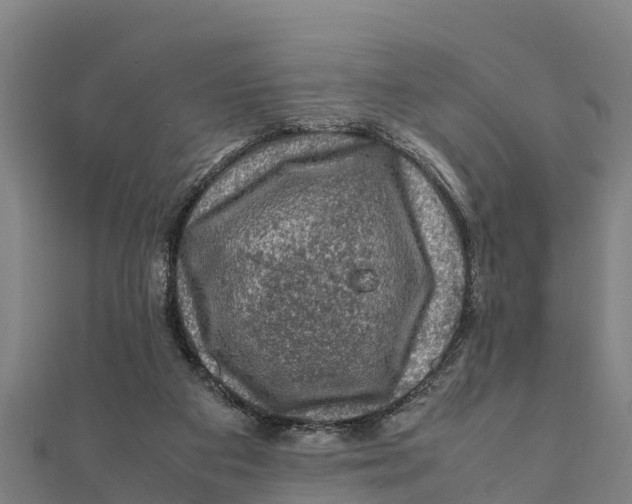 X0000111600113200908131412