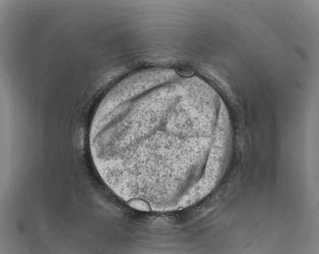 X0000111600115200908131412