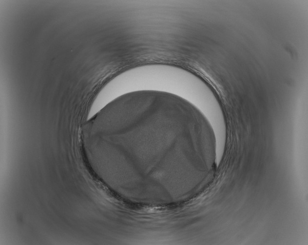 X0000111600117200908131412