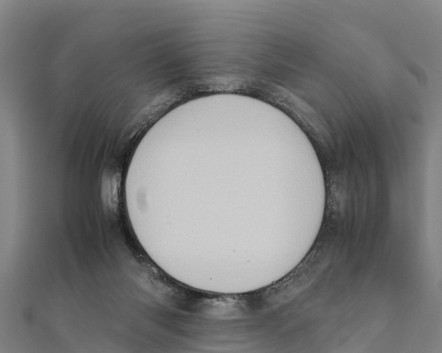 X0000111600118200908131412
