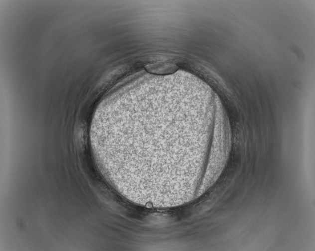 X0000111600119200908131412