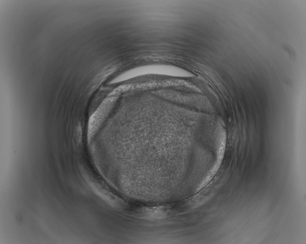 X0000111600120200908131412
