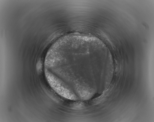 X0000111600124200908131412