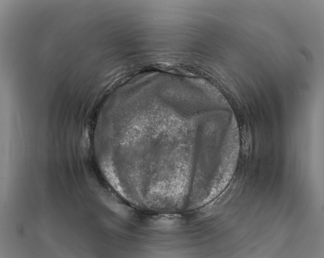 X0000111600128200908131412