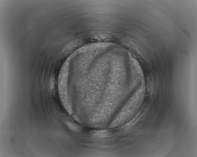 X0000111600132200908131412