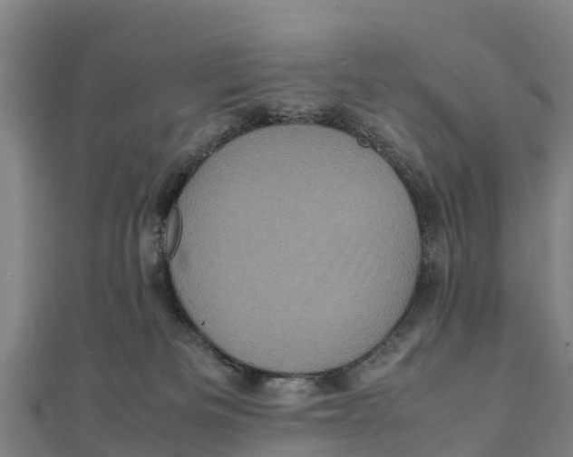 X0000111600133200908131412