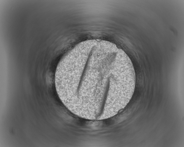 X0000111600135200908131412
