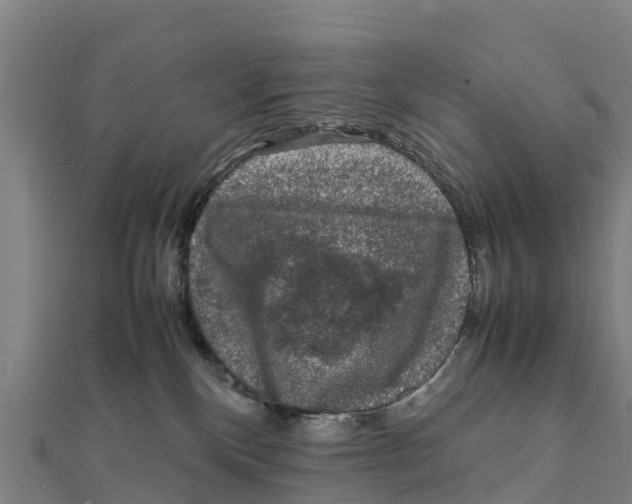 X0000111600136200908131412