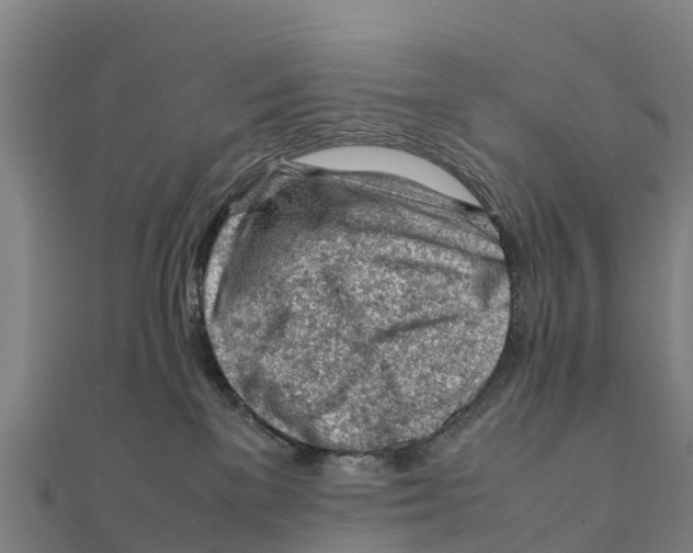 X0000111600137200908131412