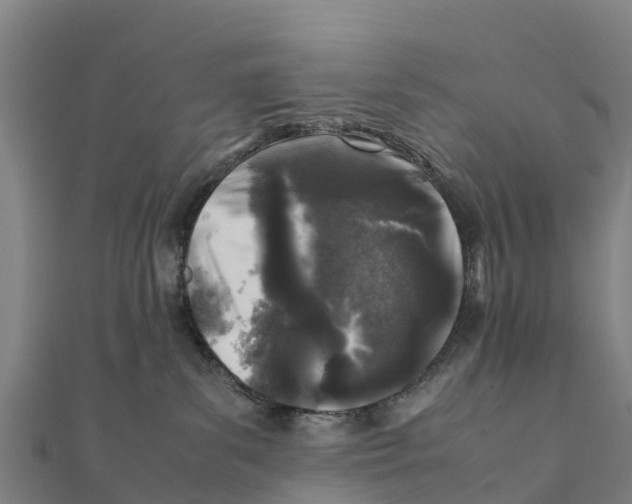 X0000111600139200908131412