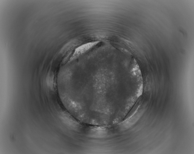 X0000111600140200908131412