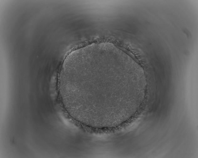 X0000111600144200908131412