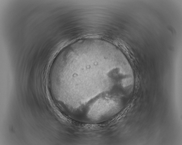 X0000111600145200908131411