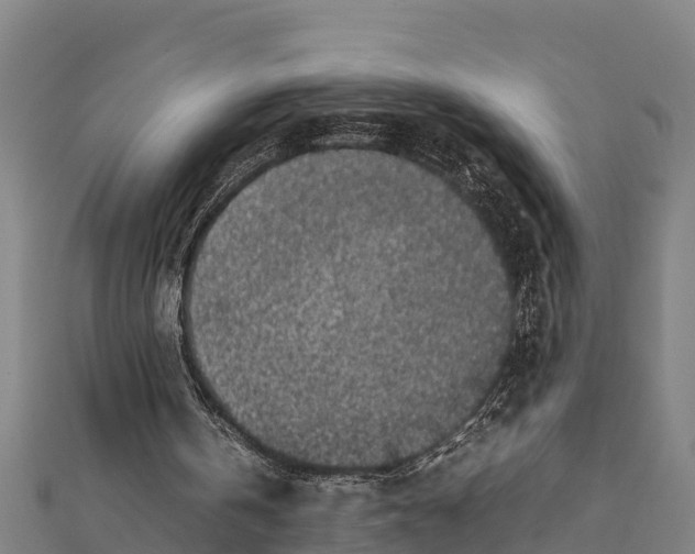 X0000111600146200908131411