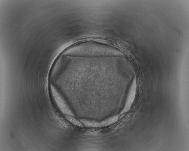 X0000111600148200908131411