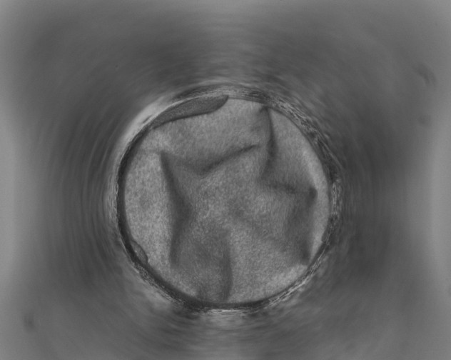 X0000111600150200908131411
