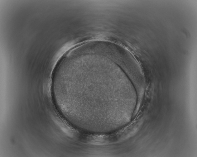 X0000111600152200908131411