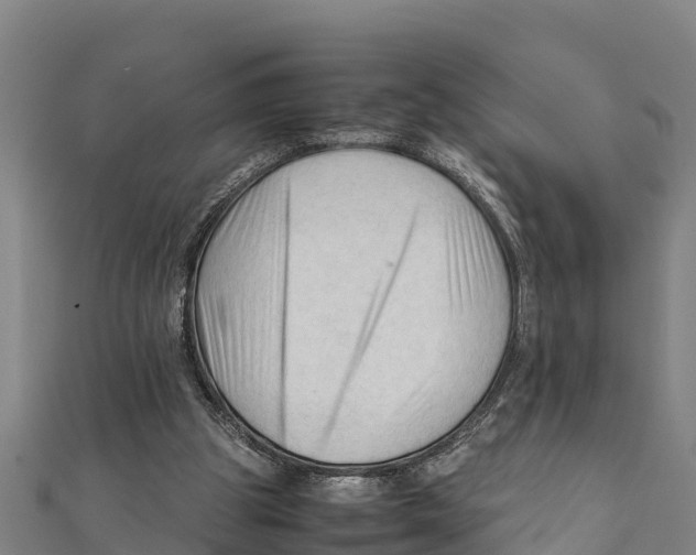X0000111600153200908131411