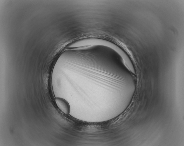 X0000111600154200908131411