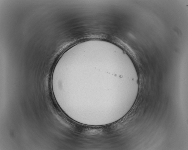 X0000111600155200908131411