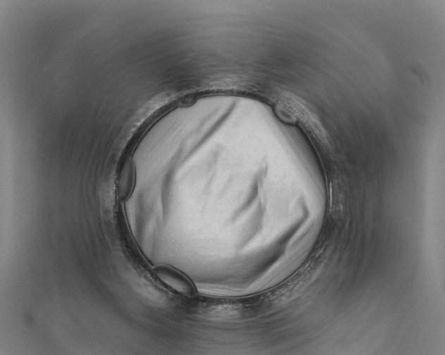 X0000111600156200908131411