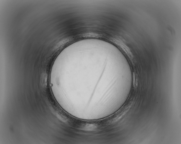 X0000111600157200908131411