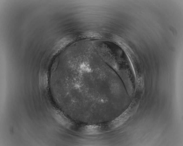 X0000111600158200908131411