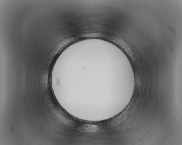 X0000111600159200908131411