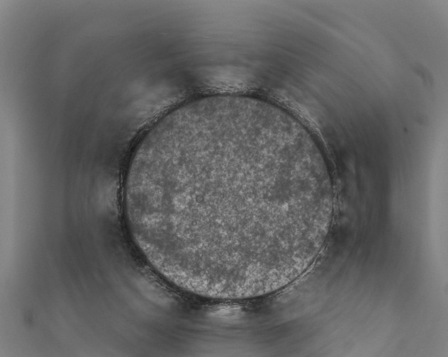X0000111600162200908131411