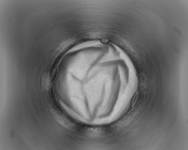X0000111600164200908131411
