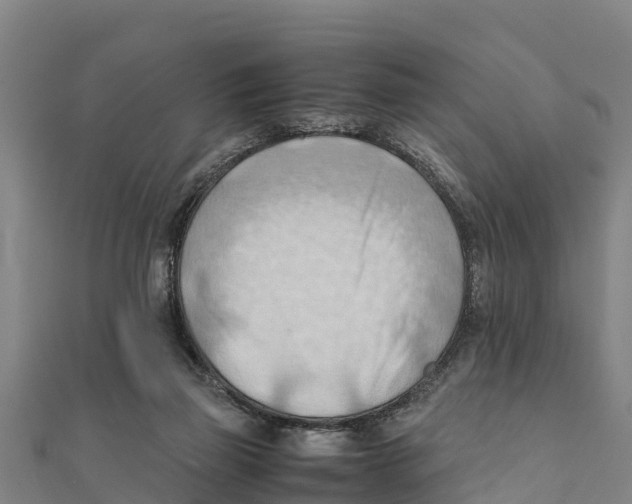 X0000111600165200908131411