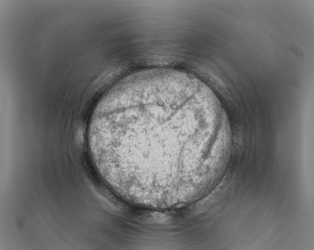 X0000111600166200908131411