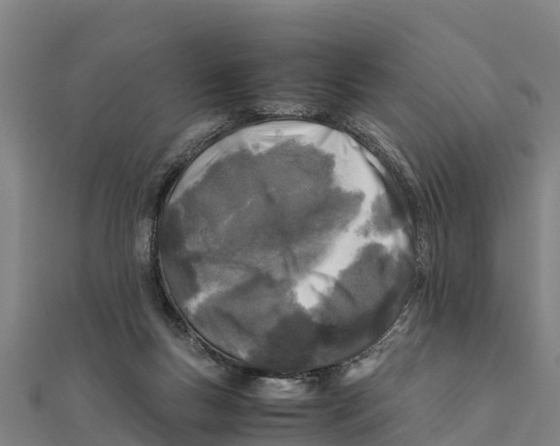 X0000111600167200908131411