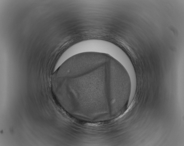 X0000111600170200908131411